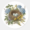 Search for pretty bird stickers Vintage