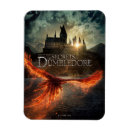Search for secrets magnets Fantastic beasts