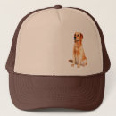 Search for golden retriever hats Animal