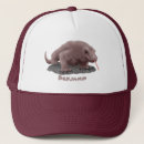 Search for lizard accessories Komodo dragon