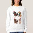 Search for dachshund christmas sweater clothing Matching
