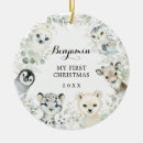 Search for baby seal ornaments First christmas