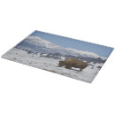 Recherche de mammifères planches à découper Nature