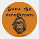 Recherche de grande singe autocollants Orang outan