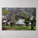 Search for jacaranda tree art Trees