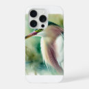 Search for great blue heron iphone cases Plumage