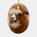 Recherche de alpaga ornements Animaux