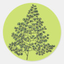 Recherche de vert de fougère autocollants Nature