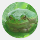 Search for smiling frog stickers Happy