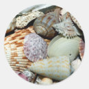 Search for ocean water stickers Hobby