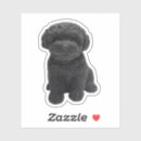 Recherche de caniche noir autocollants Chiot