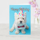 Search for dog kids cards Teen
