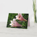 Search for trumpet cards Happy