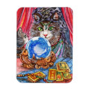 Recherche de boules de cristal magnets Devineur