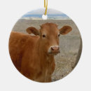 Search for cattle ornaments Cowgirl