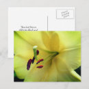Recherche de jaune pâle cartes postales Floral