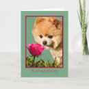 Search for flowers pet sympathy cards Nature