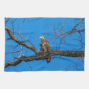 Recherche de aigles cuisine linges Faune
