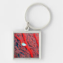 Search for wild fish keychains Swimming