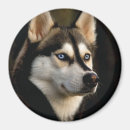 Recherche de grande oreille magnets Animal