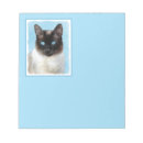 Recherche de cat blocsnotes Chaton