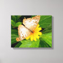 Search for bug pictures art Butterfly