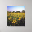 Search for nwr canvas prints No people