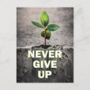 Search for persistence cards Never give up