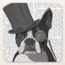 Search for boston coasters Terriers