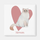 Search for cat breeds magnets Kitty