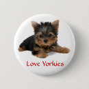 Search for yorkie accessories Puppies