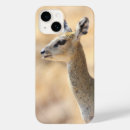 Search for antelopes iphone cases Wildlife