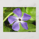Search for periwinkle blue postcards Purple