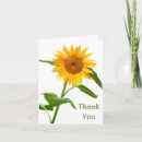 Search for blank sunflower cards Sunflowers