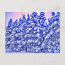 Search for cos postcards Forest