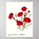 Search for carnation posters Vintage