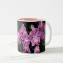 Recherche de orchidée rose tasses Vert