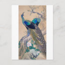 Recherche de paire cartes postales Floral