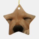 Recherche de golden retriever ornements Chien d'arrêt