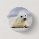 Recherche de phoque badges Neige