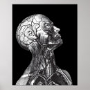 Search for vintage anatomy posters Anatomical