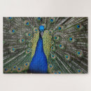 Search for peacock puzzles Avian