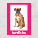 Recherche de anniversaire de boxeur Pour elle