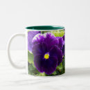 Recherche de pansy tasses Pansement