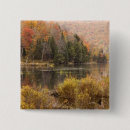 Recherche de paysage badges Forêt
