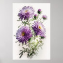 Recherche de aster pourpre Fleurs violettes
