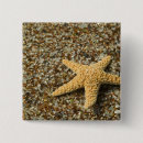 Recherche de étoiles badges Jour