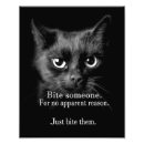 Recherche de chaton tigré posters Drôle