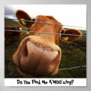 Recherche de shetland posters L'ecosse