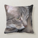 Search for house cat pillows Feline